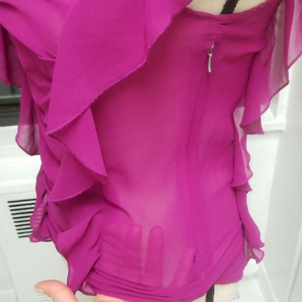 Express Sheer Ruffle Blouse - Picture 4 of 5
